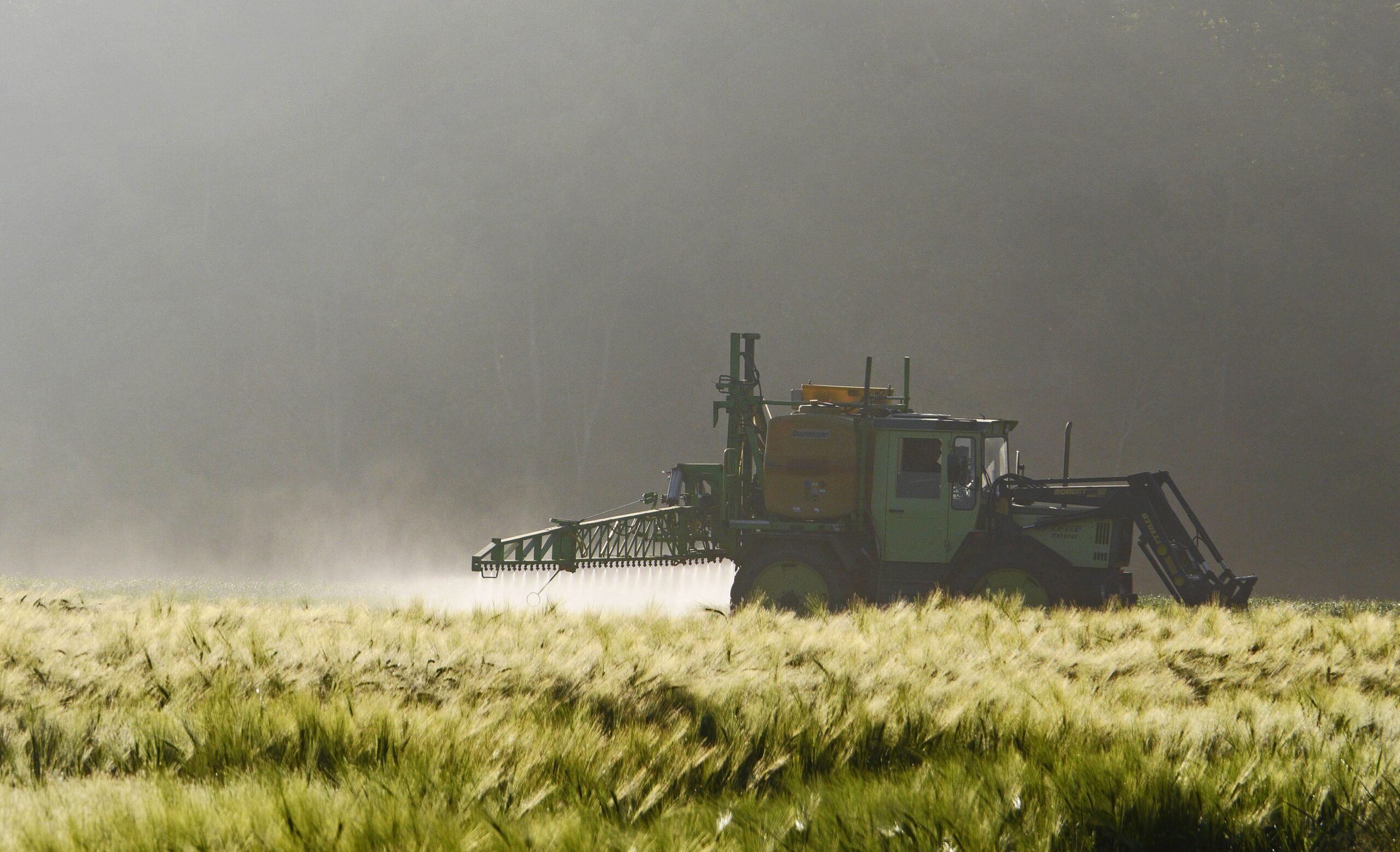 Pesticides et cancer du pancréas : des liens dangereux